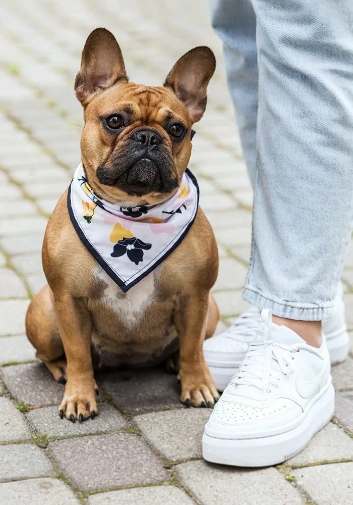 Pet Lovers